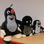 phoca_thumb_m_a- krteci  11 Fotogalerie